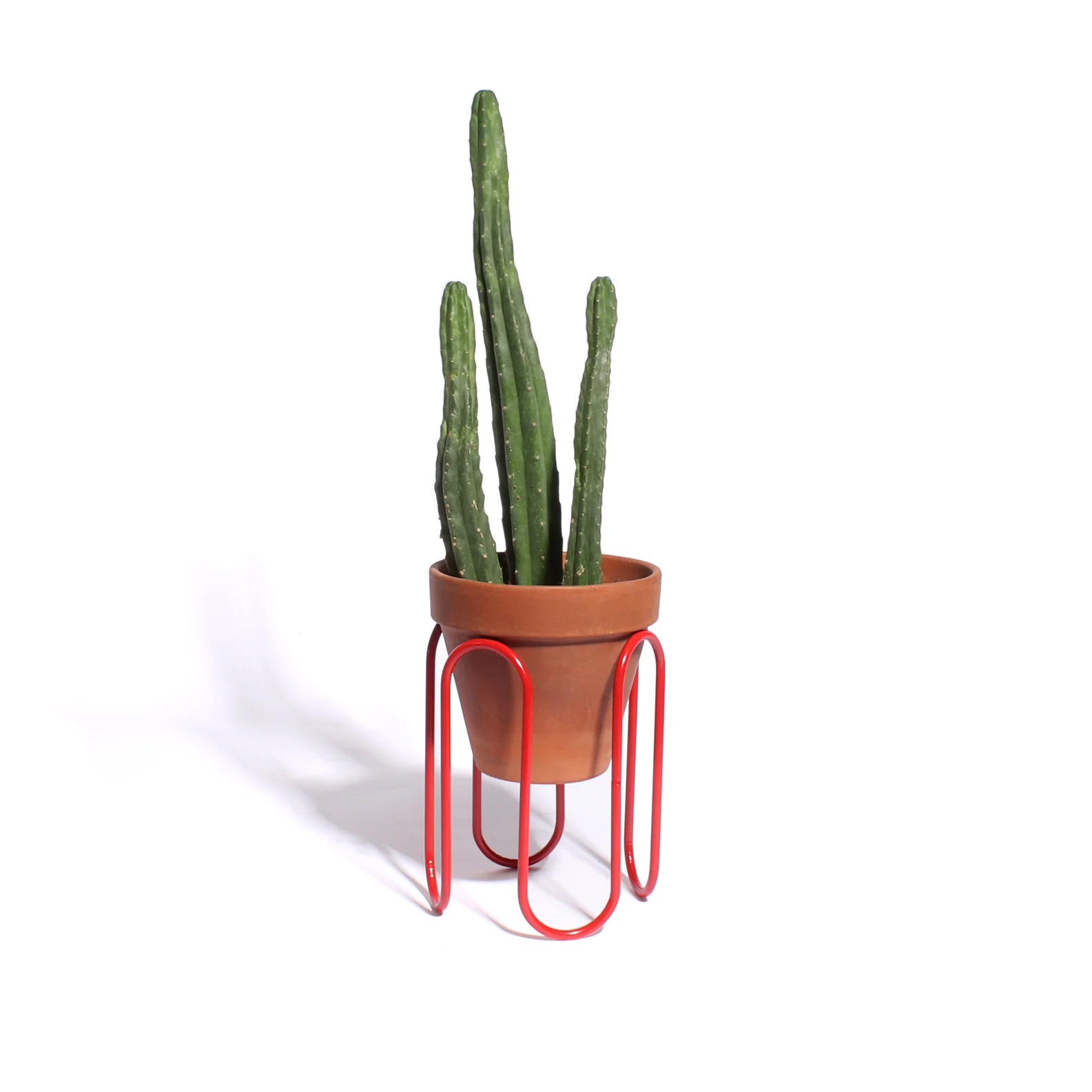 Large Squiggle Planter - Red