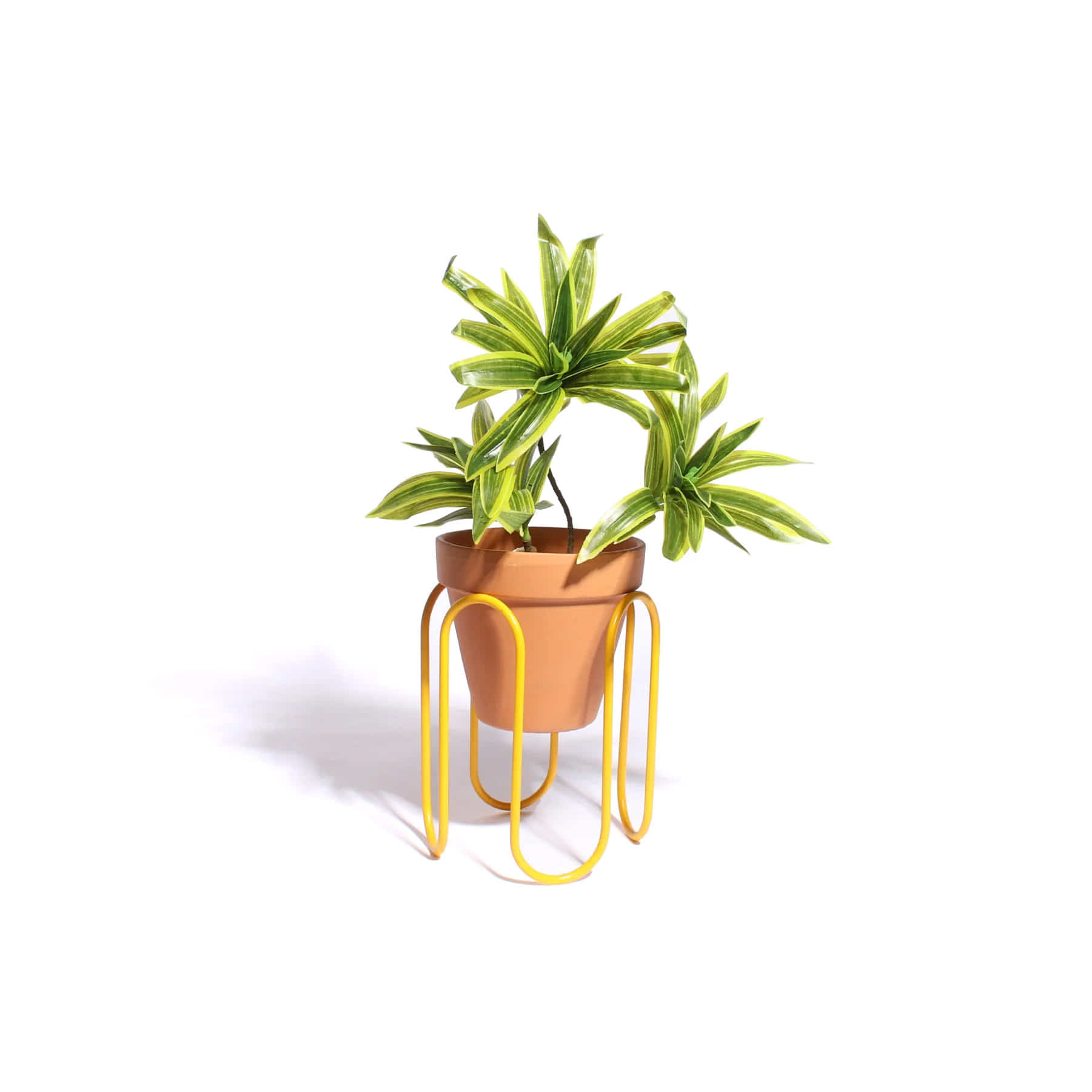 Large Squiggle Planter - Yellow